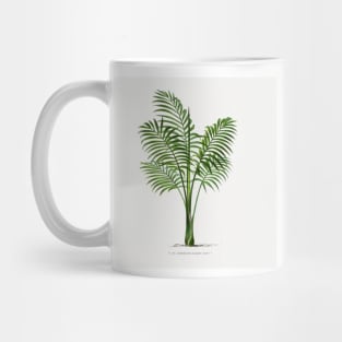 7 Les Palmiers Histoire Mug